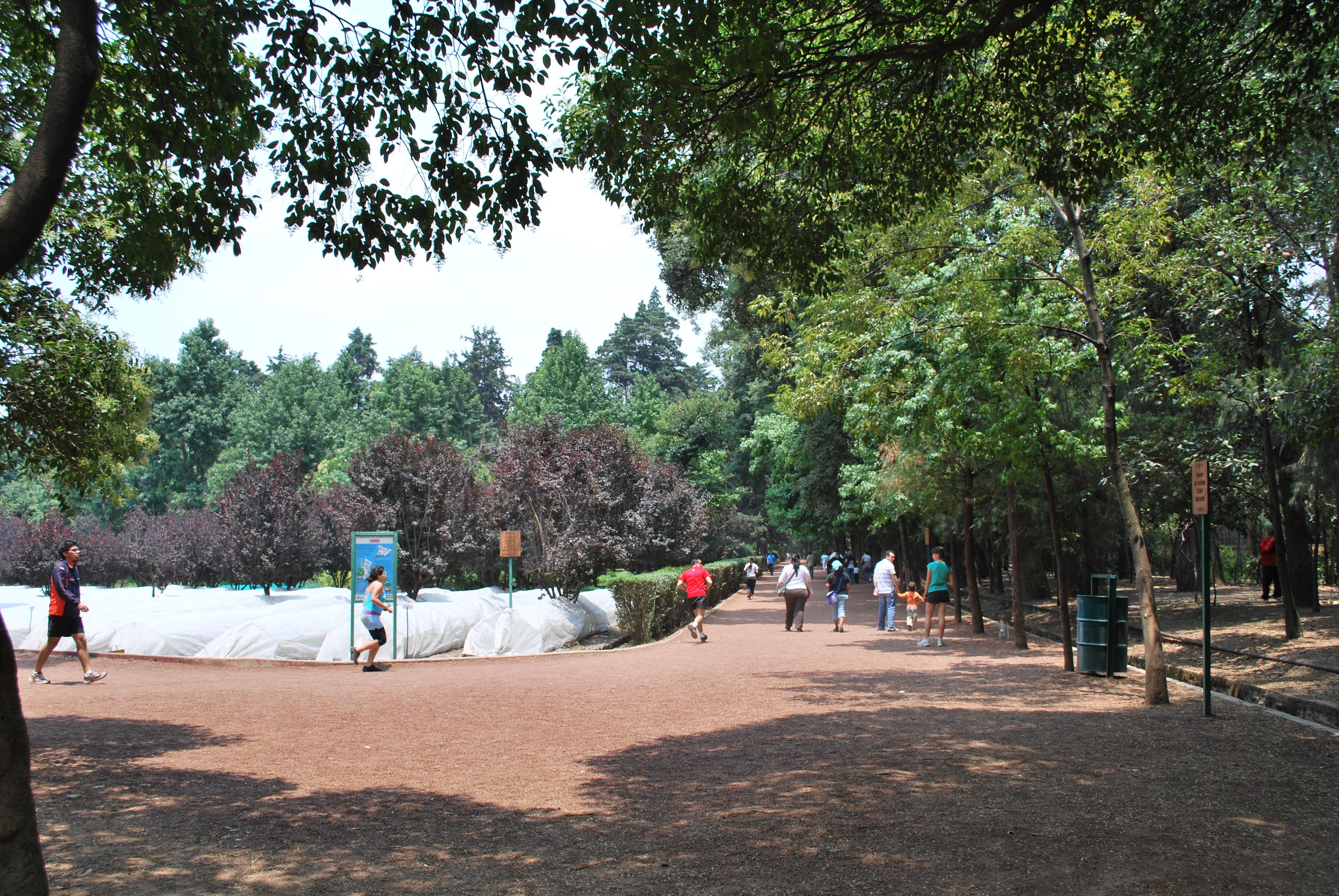 Museo de Arte Carrillo Gil